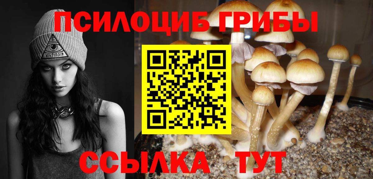 Галлюциногенные грибы Psilocybine cubensis  Вход с VPN  купить закладку  Дедовск  Псилоцибиновые грибы мицелий 
